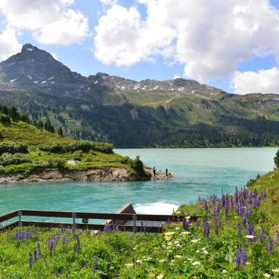 Tiroler Bergsommer – Sommer – Sonne – Erholen – Erleben