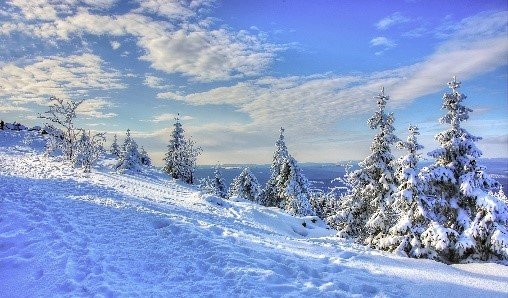 Unser Reiseprogramm 2022 - Weihnachtlicher Glanz im Harz