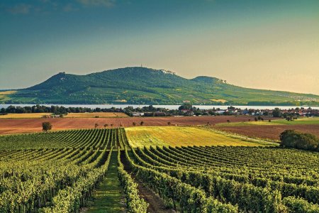 Unser Reiseprogramm 2023 - Südmähren – gute Weine in einzigartiger Landschaft