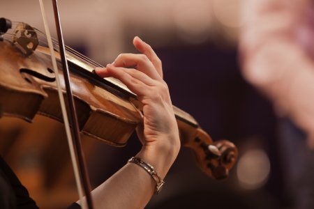 Unser Reiseprogramm 2027 - André Rieu – Neujahrskonzert in Amsterdam