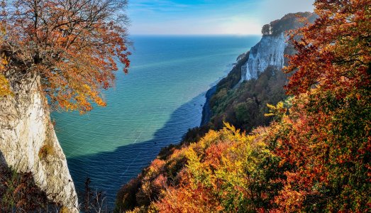 Unser Reiseprogramm 2025 - Auf Kranichtour zur Insel Rügen | Herbstliche Kranichrast am Jasmunder Bodden