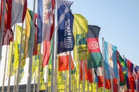 Unser Reiseprogramm 2027 - Berlin - »Grüne Woche« und/oder »Friedrichstadtpalast«