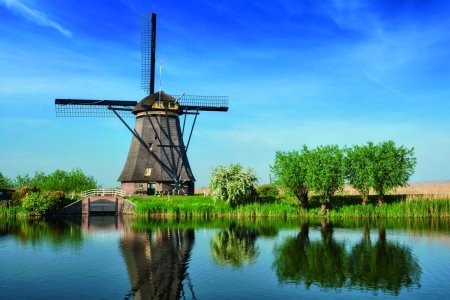 Unser Reiseprogramm 2026 - Dahlienfestival – blühender Spätsommer - farbenprächtige Niederlande