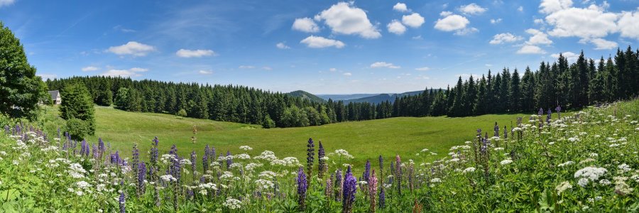 Unser Reiseprogramm 2026 - Friedrichroda im Thüringer Wald – Kloß trifft Bratwurst - mit Lutherstadt Eisenach & Erfurt