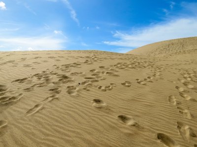 Unser Reiseprogramm 2027 - Gran Canaria – Vielfalt, die verzaubert!