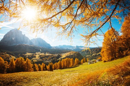 Unser Reiseprogramm 2026 - Herbstzauber in Südtirol - malerische Dolomiten