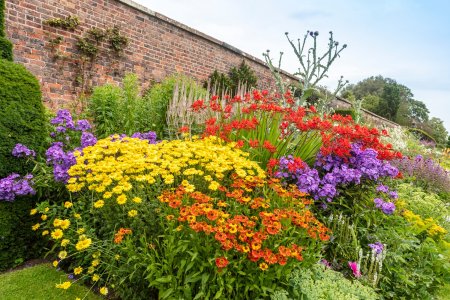 Unser Reiseprogramm 2024 - Kent – wo farbenprächtige Gärten die Sinne verführen