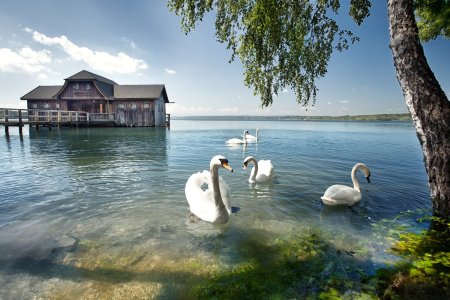 Unser Reiseprogramm 2026 - München & 4-Seen-Rundfahrt - Bayern erleben
