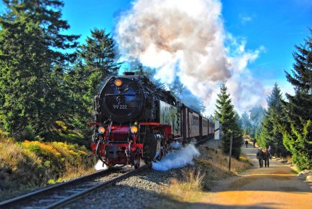 Unser Reiseprogramm 2026 - Muttertag im Harz - mit Harzer Schmalspurbahn