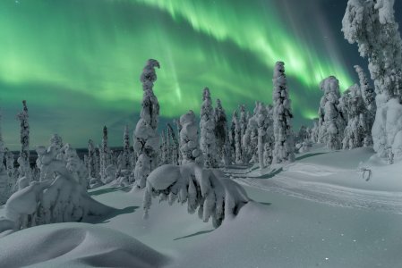 Unser Winterprogramm 2025 - Polarlichterzeit in Finnisch-Lappland