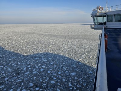 Unser Winterprogramm 2025 - Polarlichterzeit in Finnisch-Lappland