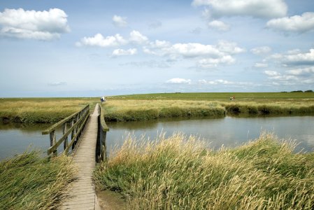 Unser Reiseprogramm 2025 - Radreise zwischen Nord- und Ostsee | Fahrradtour durch Schleswig-Holstein