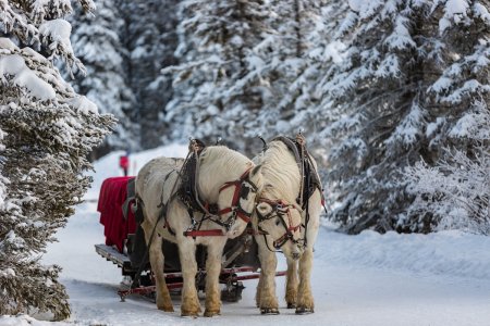 Unser Reiseprogramm 2026 - Winterspaß im Riesengebirge