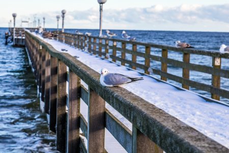 Unser Winterprogramm 2025 - Rügen – Auszeit in Binz