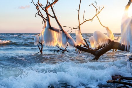 Unser Winterprogramm 2025 - Rügen – Auszeit in Binz