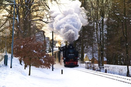 Unser Reiseprogramm 2025 - Silvester in Dresden