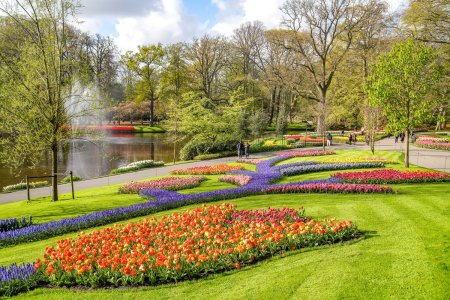 Unser Reiseprogramm 2025 - Tulpenblüte de luxe | zahlreiche Inklusivleistungen