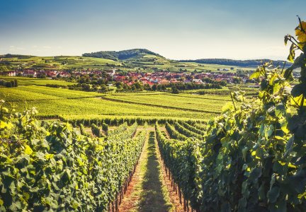 Unser Reiseprogramm 2025 - Urlaub im südlichen Schwarzwald | Kaiserstuhl, Freiburg & Elsass