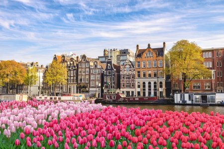 Unser Reiseprogramm 2025 - Zur Tulpenblüte nach Holland | Keukenhof & Amsterdam