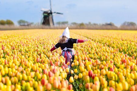 Unser Reiseprogramm 2026 - Zur Tulpenblüte nach Holland - kunterbuntes Blumenmeer