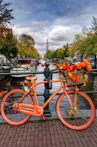 Unser Reiseprogramm 2025 - Zur Tulpenblüte nach Holland | Keukenhof & Amsterdam