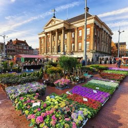 Blumenmarkt in Groningen