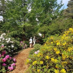 Park der Gärten & Rhododendronpark