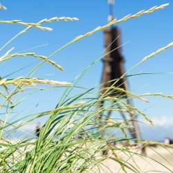 8. Etappe des Weser-Radweges: Dorum Neufeld > Cuxhaven