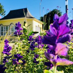 Landesgartenschau Bad Nenndorf &copy; by Annika Wilkenin