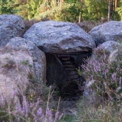 Auf den Spuren der Riesen