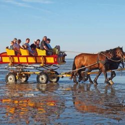 Zu Besuch auf Neuwerk