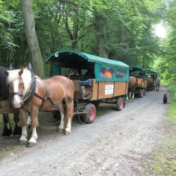 Mit dem Planwagen durch den Harz