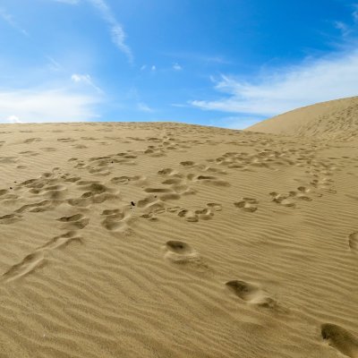 Gran Canaria – Vielfalt, die verzaubert!