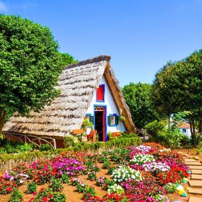 Flugreise zur Blumeninsel Madeira