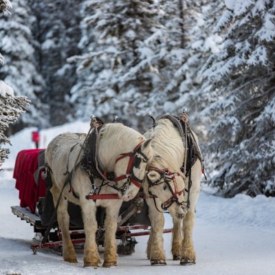 Winterspaß im Riesengebirge