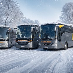 Nachmittagsfahrt zum Weihnachtsmarkt und Schlachte-Zauber Bremen Nachmittagsfahrt zum Weihnachtsmarkt und Schlachte-Zauber Bremen