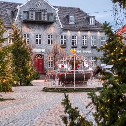 Weihnachtsmarkt und Weihnachtswald Goslar