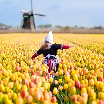 Zur Tulpenblüte nach Holland