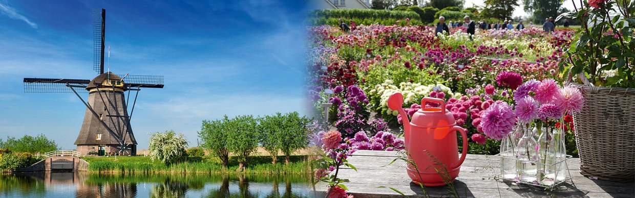 Dahlienfestival – blühender Spätsommer - farbenprächtige Niederlande